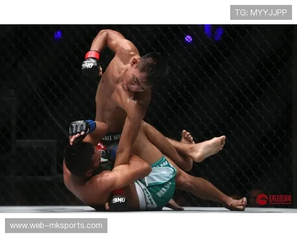 穆罕默德·莫卡耶夫或回归UFC，预测冲击蝇量级冠军