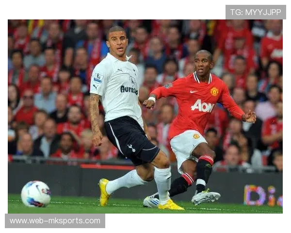 英超国际推广项目评估报告，全球粉丝增长数据深化